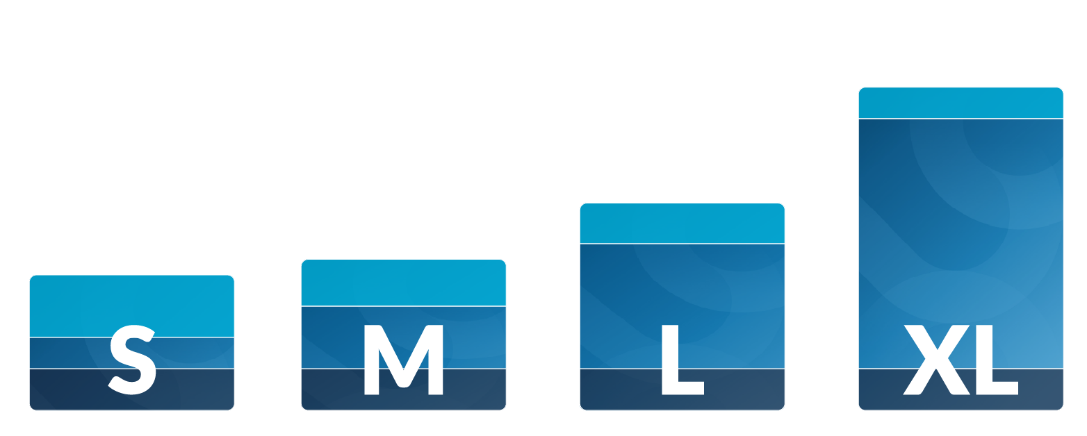 AusweisIDent Preismodell AusweisIDent Preismodell